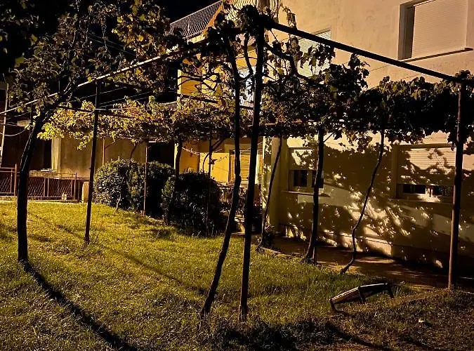 Entire 1-Bedroom Apartment With Free Parking